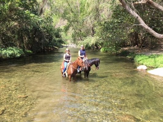 rancho el charro horseback riding dream body clinic 4