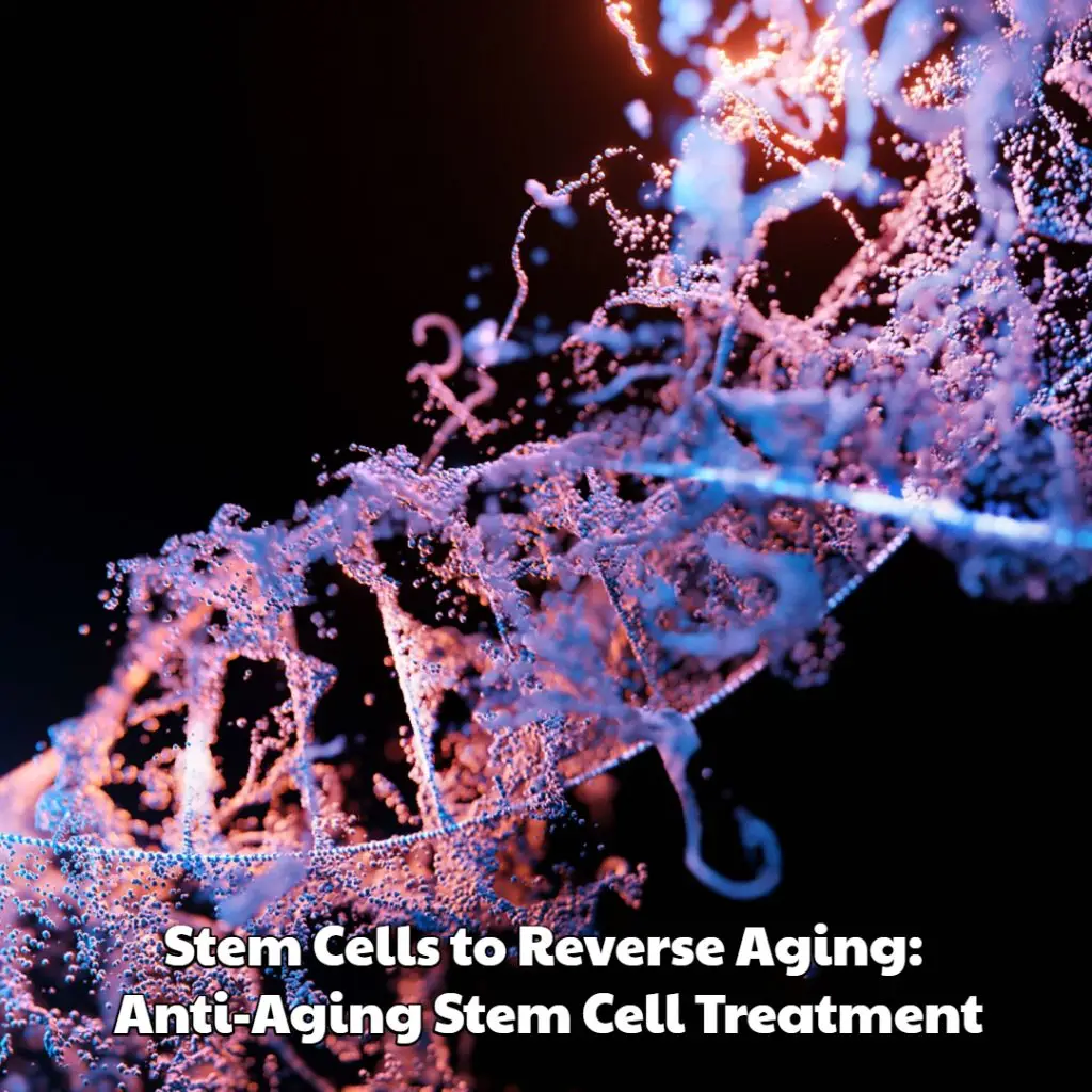 Stem Cells to Reverse Aging: Anti-Aging Stem Cell Treatment