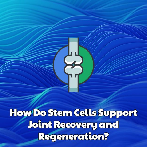 How Do Stem Cells Support Joint Recovery and Regeneration? Dream Body Clinic 2026
