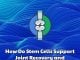 How Do Stem Cells Support Joint Recovery and Regeneration? Dream Body Clinic 2026