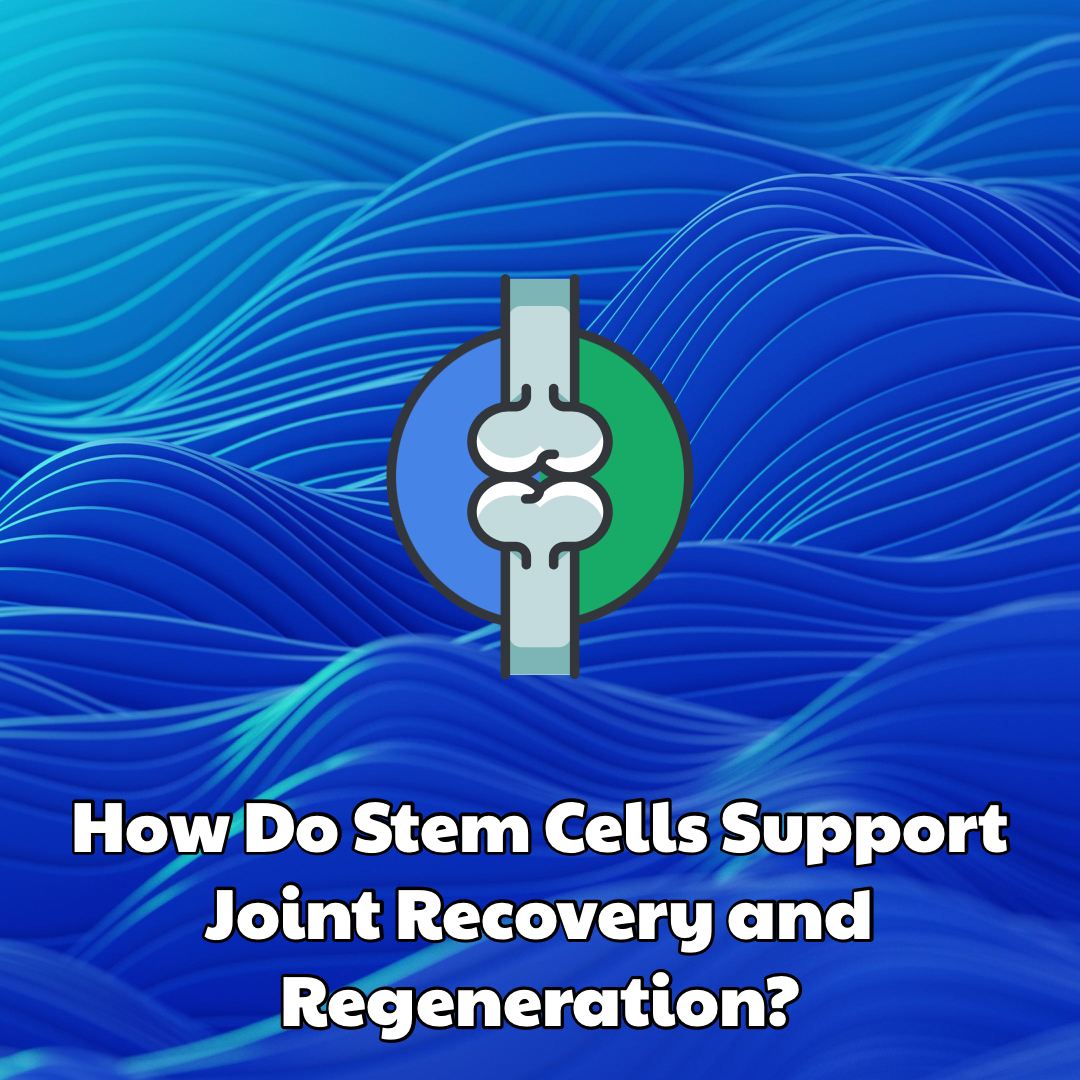 How Do Stem Cells Support Joint Recovery and Regeneration? Dream Body Clinic 2026