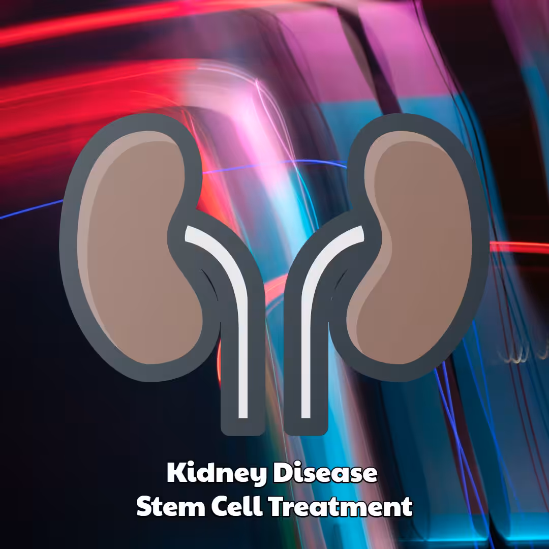 Kidney Disease Stem Cell Treatment Dream Body Clinic