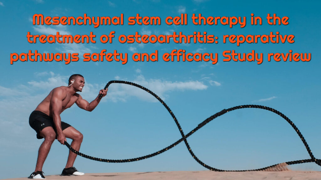 Mesenchymal stem cell therapy in the treatment of osteoarthritis reparative pathways safety and efficacy Study review