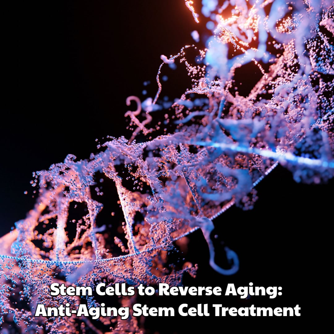 Stem Cells to Reverse Aging Anti Aging Stem Cell Treatment Dream Body Clinic