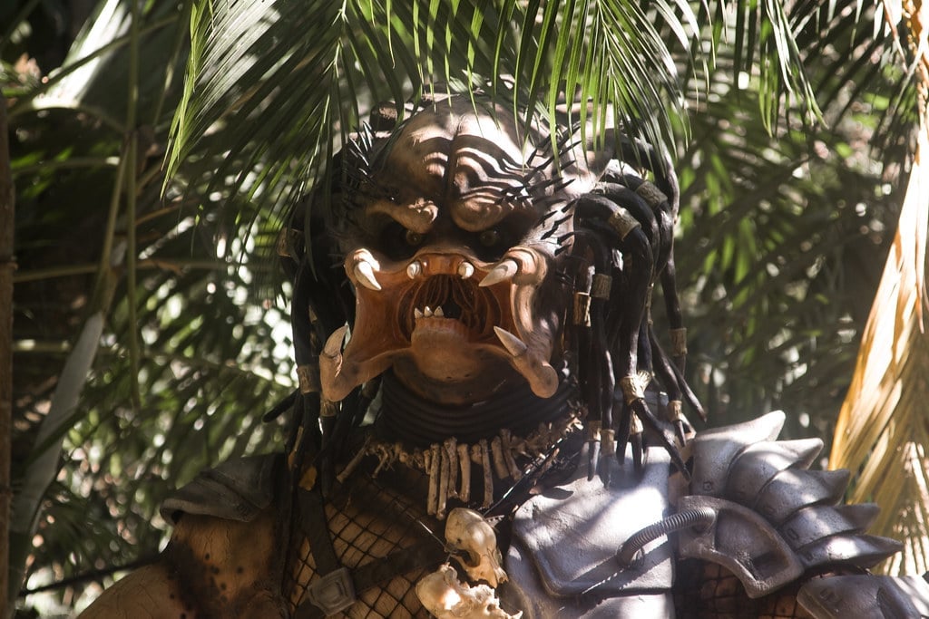 el eden predator set zipline dream body clinic 4