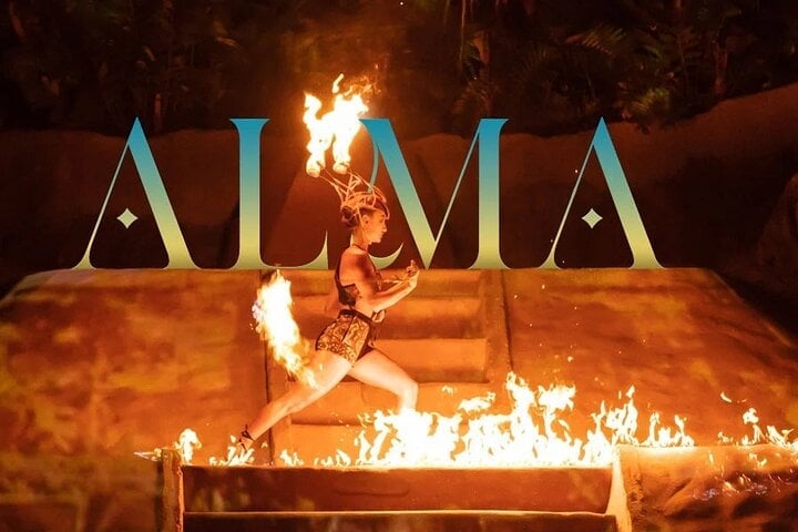 vallarta adventures alma dream body clinic