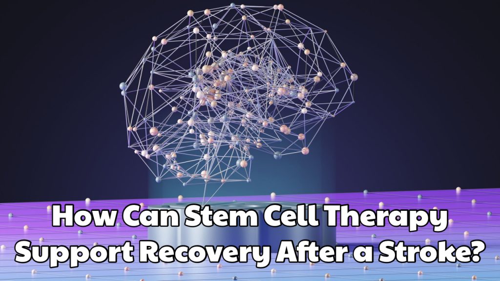 How Can Stem Cell Therapy Support Recovery After a Stroke Dream Body Clinic 2026