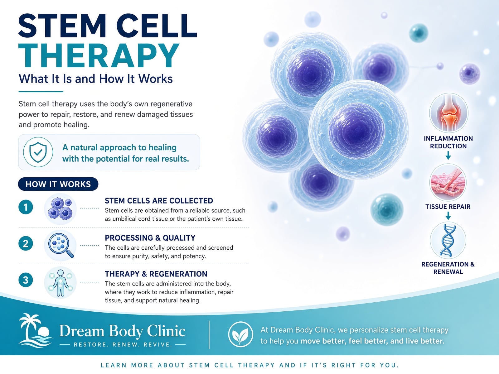 Stem Cell Therapy at dream body clinic