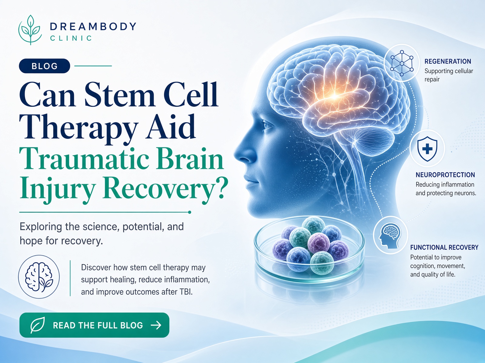 Stem Cell Traumatic brain injury recovery