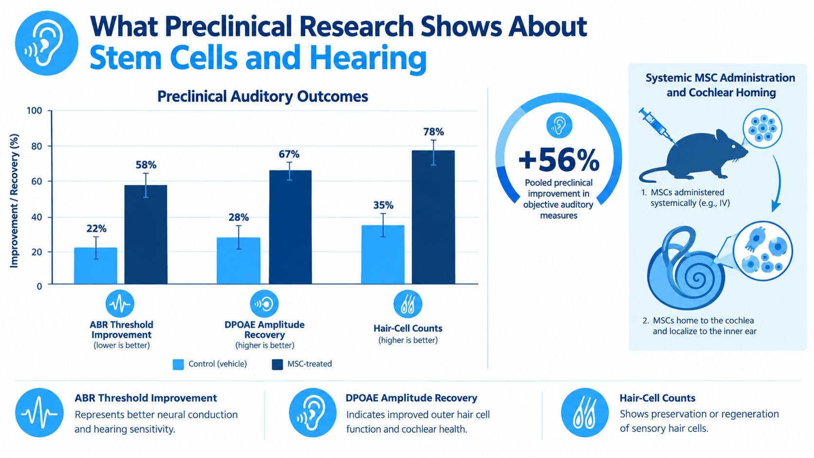An infographic showing preclinical research results on how stem cell treatments improve hearing in animal models.