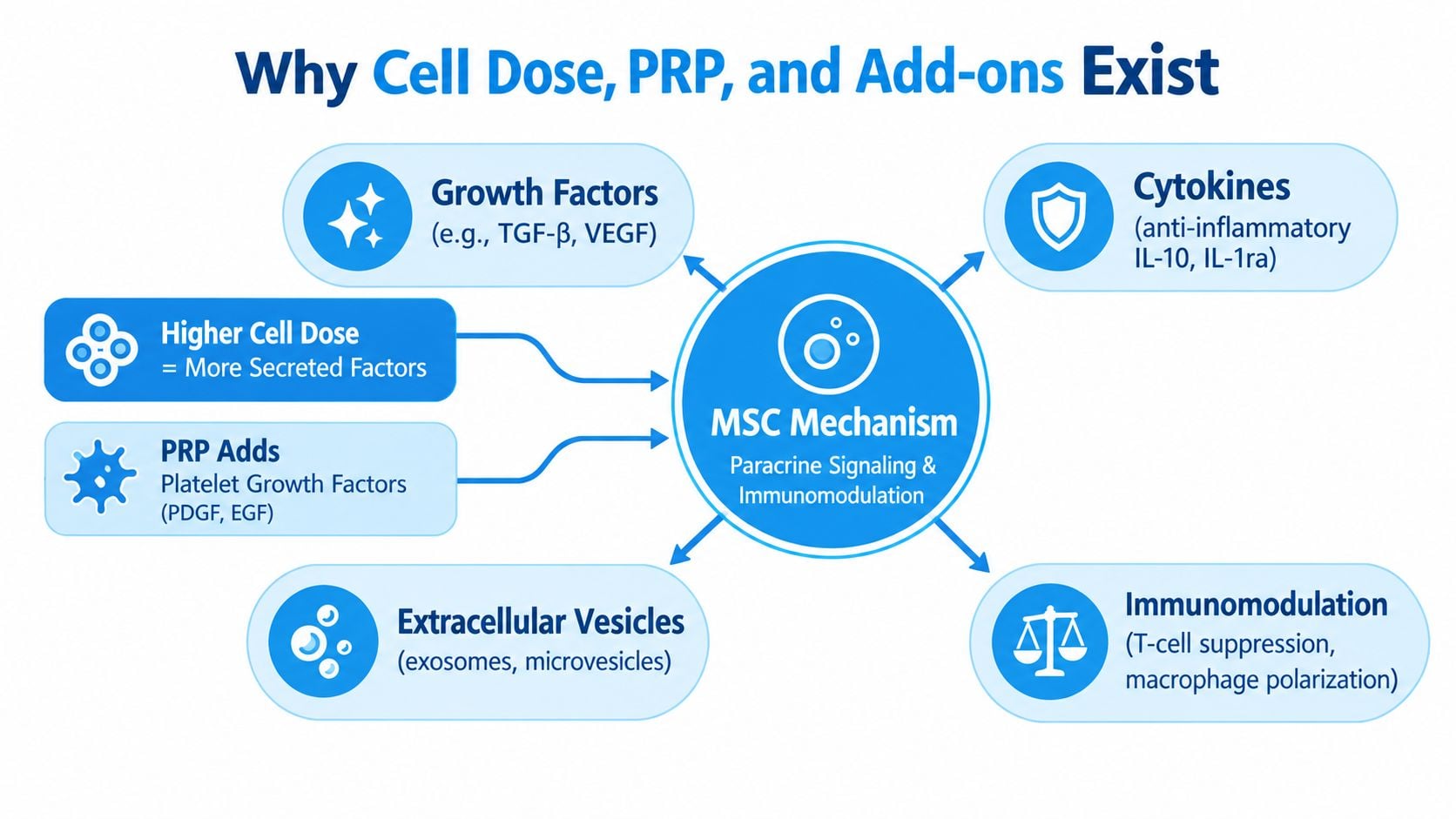 A diagram explaining how MSC stem cell treatments work through paracrine signaling, immunomodulation, and growth factors.