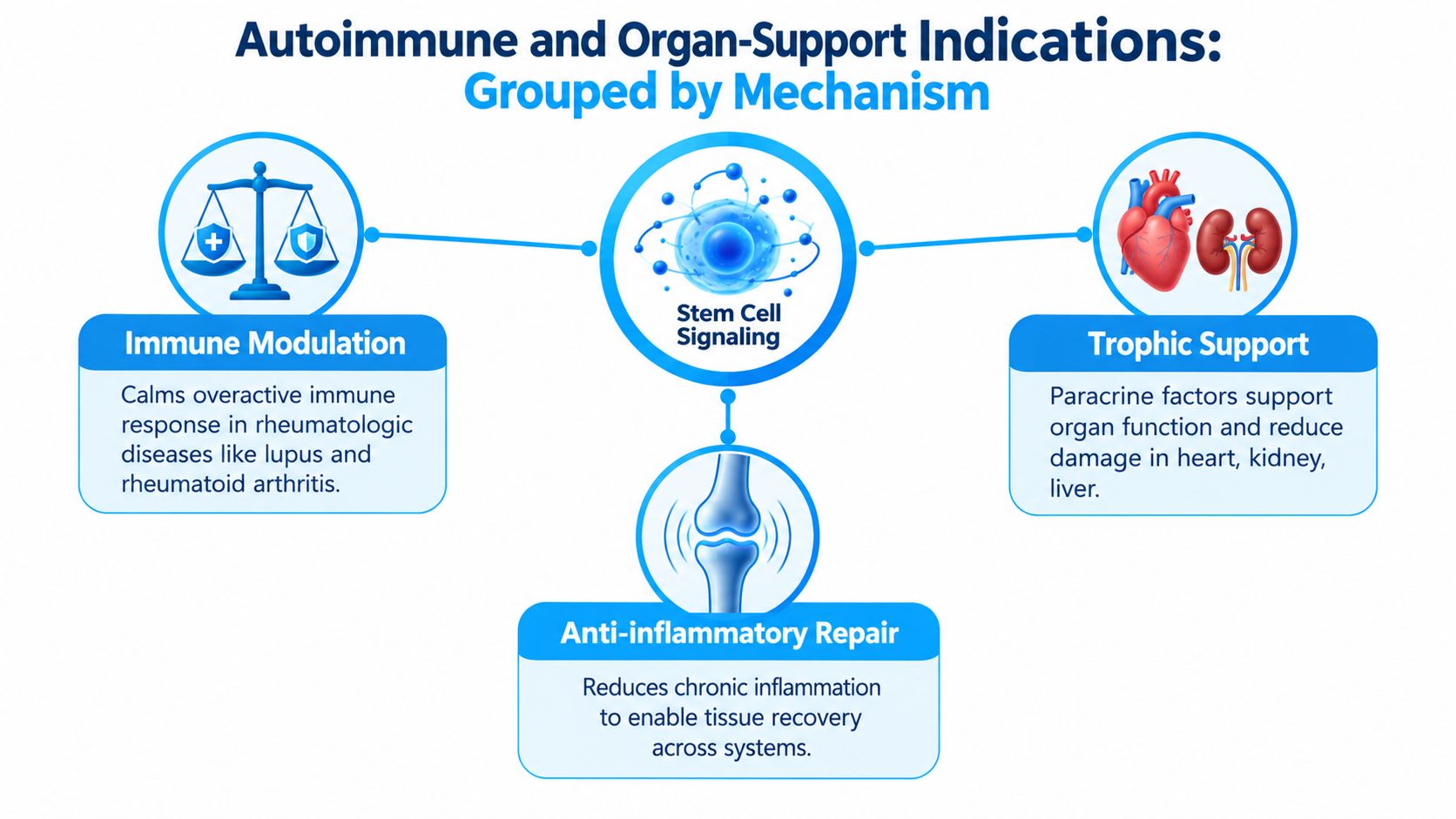 A diagram illustrating the mechanisms of stem cell therapy for immune modulation, organ support, and anti-inflammatory repair.