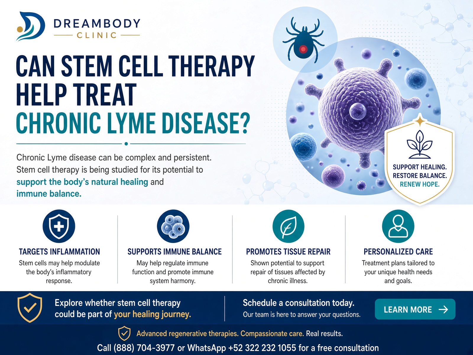 Stem Cell Therapy for Lyme Disease
