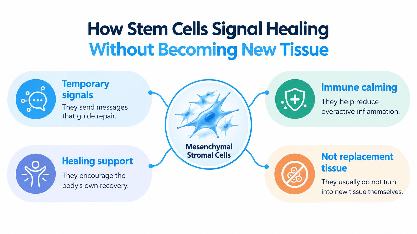 An infographic illustrating how mesenchymal stromal cells facilitate body healing through signaling rather than replacing tissue.