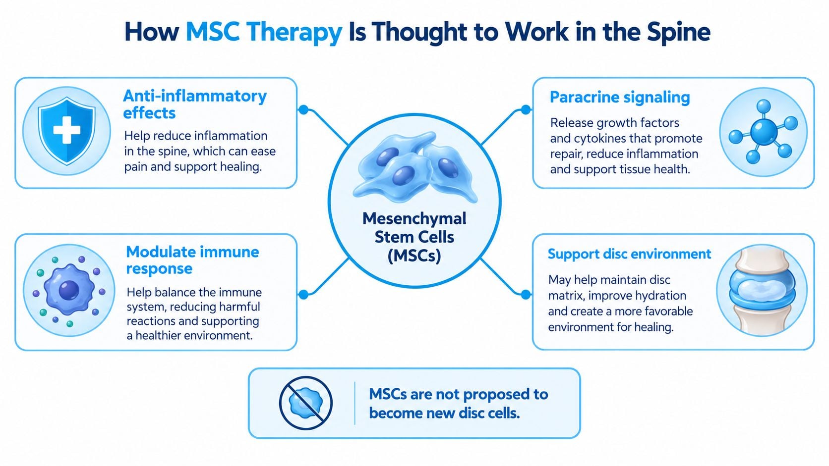 A diagram explaining how mesenchymal stem cells work to support spine health and disc healing.