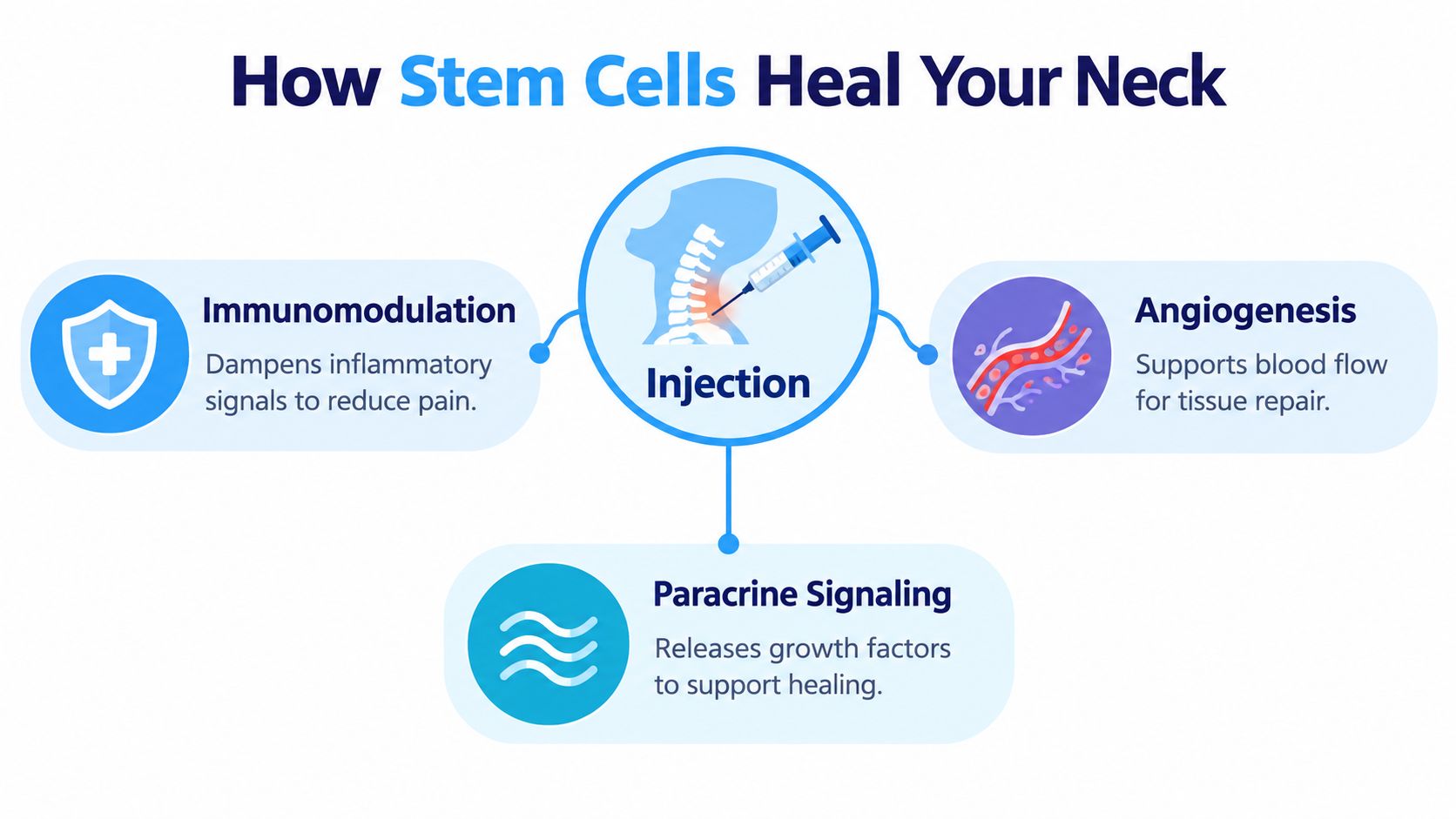 An infographic illustrating how stem cell injections help heal neck pain through three primary biological processes.