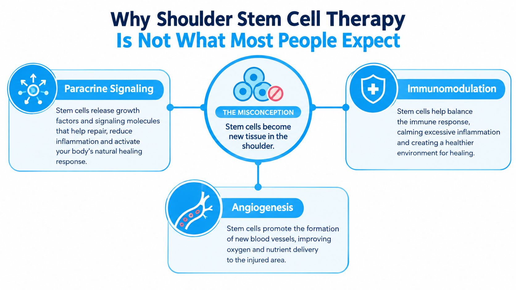 An infographic explaining that shoulder stem cell therapy works through signaling and healing rather than replacing tissue.