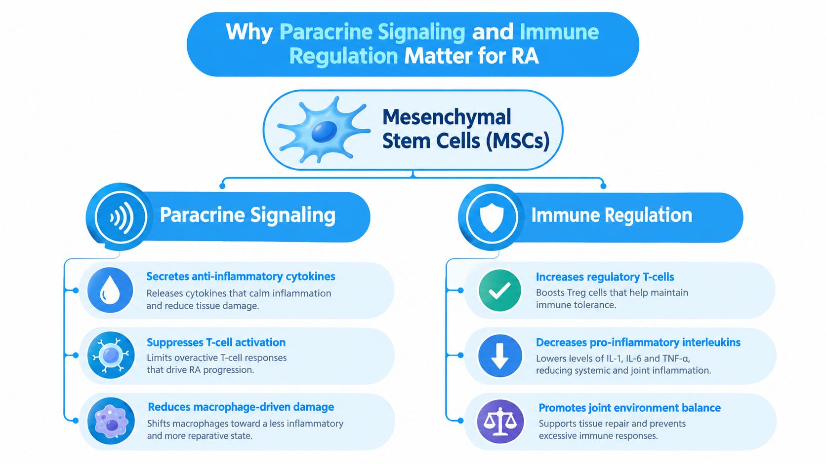A diagram explaining how mesenchymal stem cells use paracrine signaling and immune regulation to treat rheumatoid arthritis.